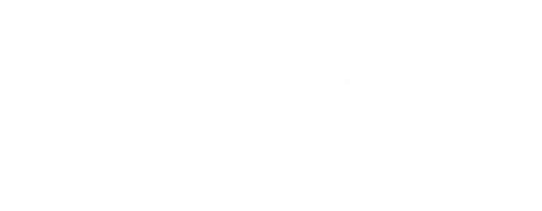 GeneXus
